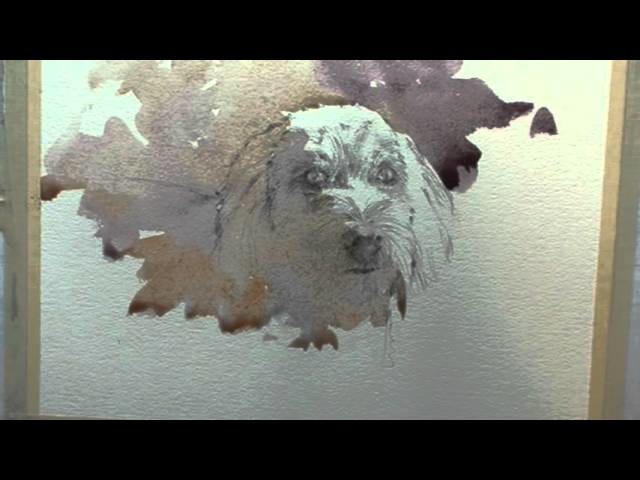 How to paint a dog portrait n watercolour