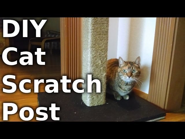 Fast Hacks #23 - Build a Cat Scratching Post