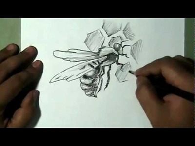 How to draw a Honey Bee