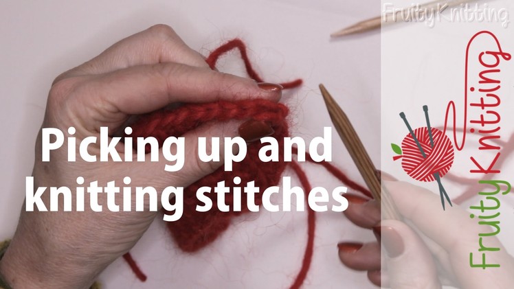 Picking Up and Knitting Stitches