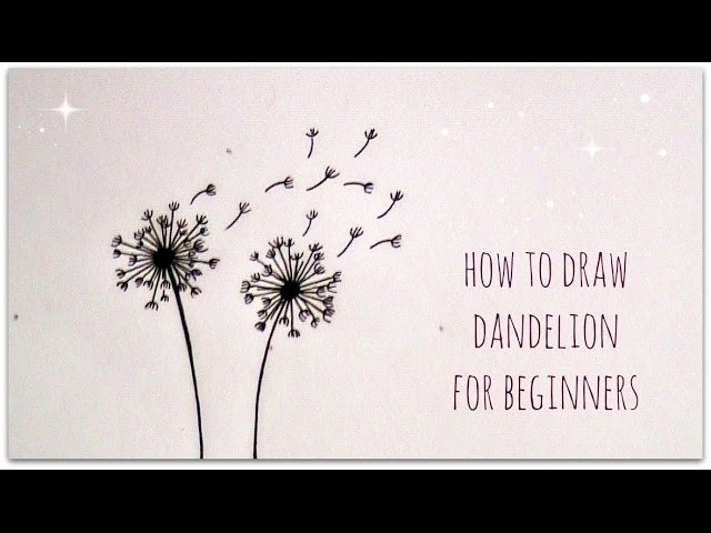 How to draw dandelion - easy version for beginners