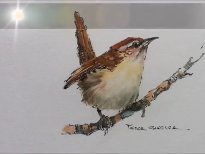 How to paint a bird, Wren tutorial. Quick and easy! With Peter Sheler