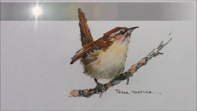 How to paint a bird, Wren tutorial. Quick and easy! With Peter Sheler