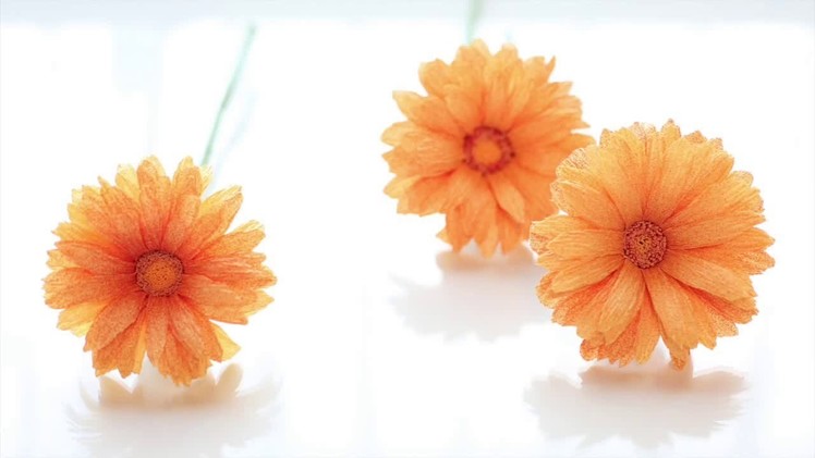 [Crepe paper flowers] Gerbera Daisy [Easy & Simple FULL tutorial] FREE Template!!