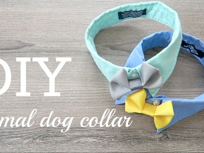 DIY #3- Formal Dog Collar & Call for COLLAB!!!