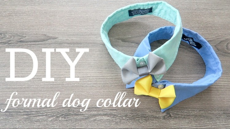 DIY #3- Formal Dog Collar & Call for COLLAB!!!