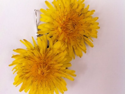 DIY Nespresso: How to make dandelion earrings with real dandelions