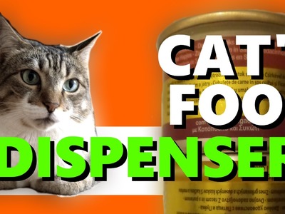 Cat's food dispenser DIY