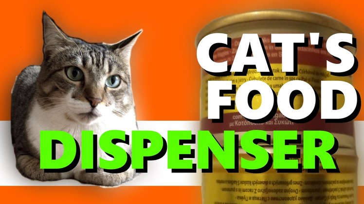 Cat's food dispenser DIY