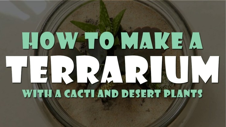 DIY: HOW TO MAKE A TERRARIUM WITH CACTI AND DESERT PLANTS