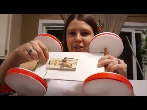 Dollar Tree DIY Mousetrap Car for $6- EASY!