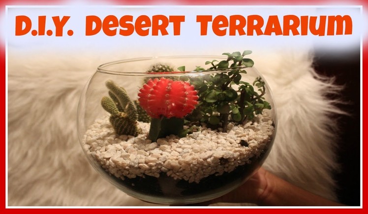 Easy DIY Desert Terrarium | Bella Nicole