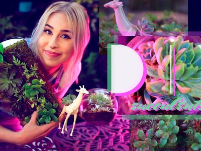 HOW TO: Make DIY Succulent Planters!