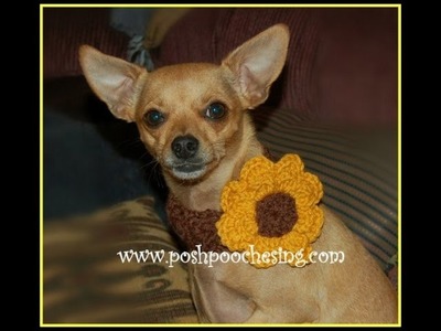 Crochet a Shell Stitch Dog Collar with A Big Flower