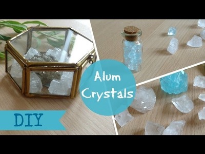 DIY Alum Crystals -  tumblr decor