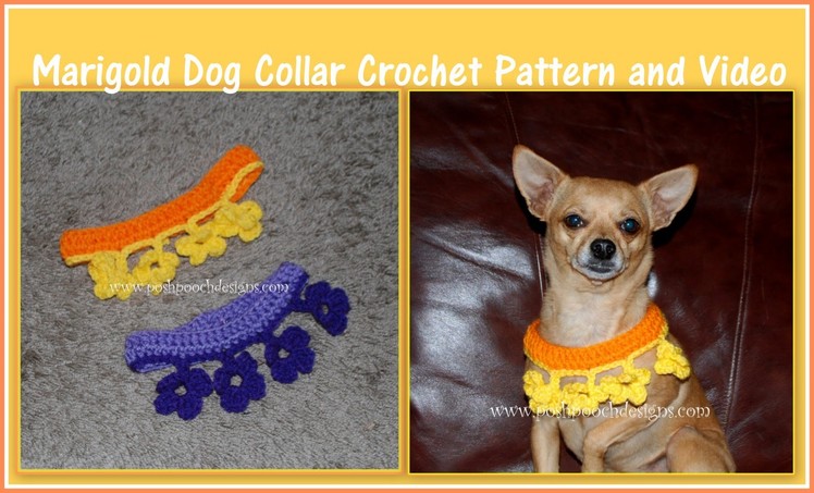 Marigold Collar Crochet Pattern