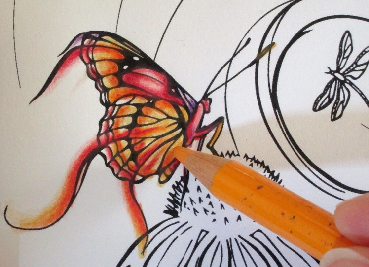 EASY COLOURING TUTORIAL: How to colour a Butterfly with coloured pencils