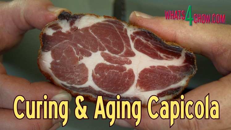 How to Cure & Age Capicola - Homemade Capicola - Perfect Charcuterie