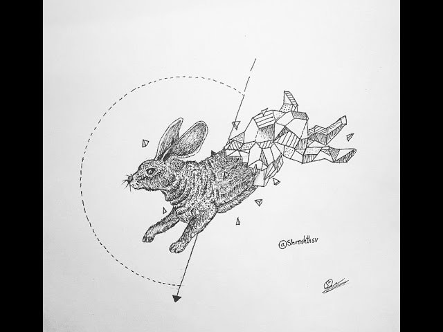 How to draw a geometrical rabbit