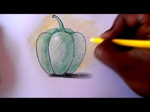 How to draw Capsicum step by step