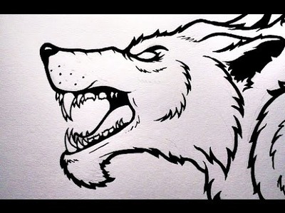 How To Draw a WOLF HEAD