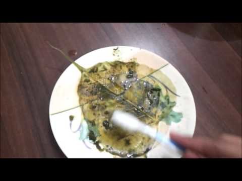 How to make Leaf Skeletons without any Chemicals