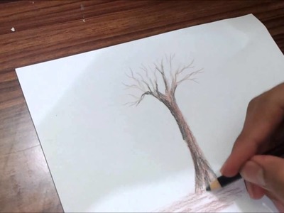 LEARN HOW TO SKETCH A COLOUR PENCIL SHADING - Tree