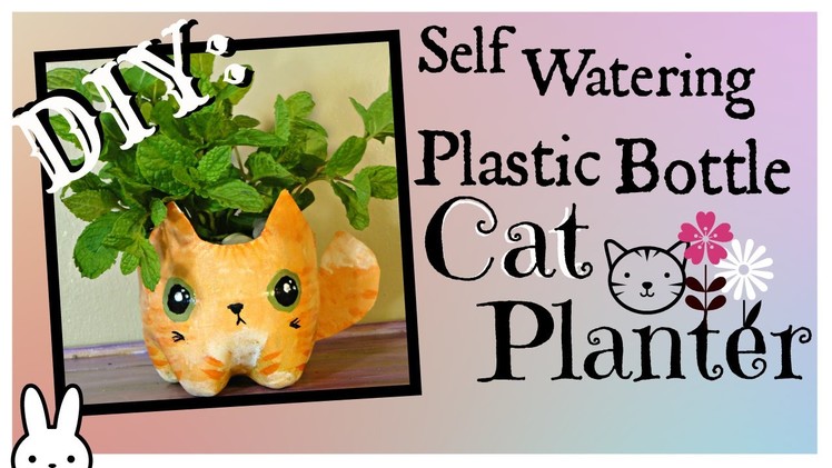 DIY: how to make a self watering plastic bottle cat planter. tutorial
