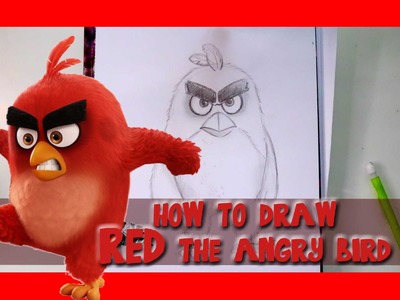 How to Draw RED from Sony Pictures' ANGRY BIRDS - @dramaticparrot