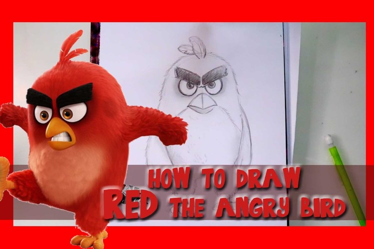 How to Draw RED from Sony Pictures' ANGRY BIRDS - @dramaticparrot