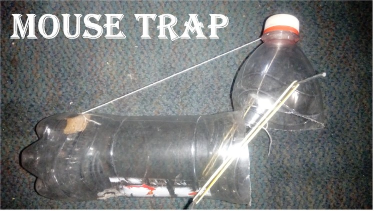How To Make Mouse Trap At Home Easy Way
