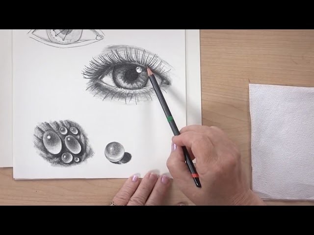 Drawing Basics - How to See, How to Draw - DVD with Claudia Nice