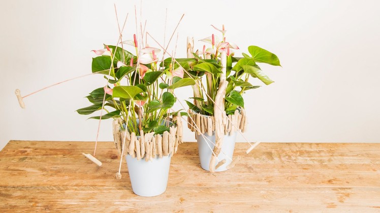 Elegant & Natural Anthurium Design | Flower Factor How To | Plant Creation