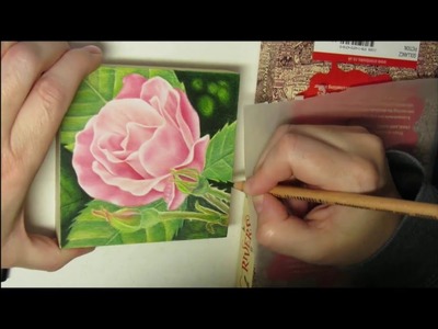 How to draw a rose with colored pencils on wood.