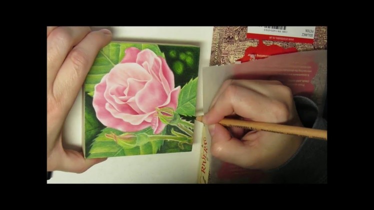How to draw a rose with colored pencils on wood.