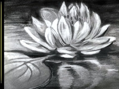 How to draw a Water lily with the eraser pencil