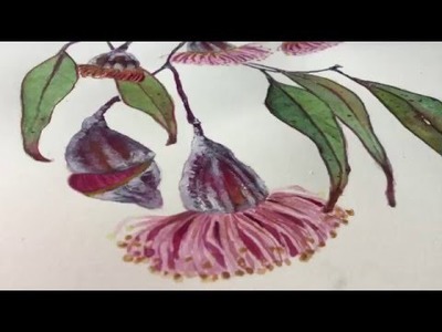 How To Draw An Eucalyptus Vintage Arts By Firuza