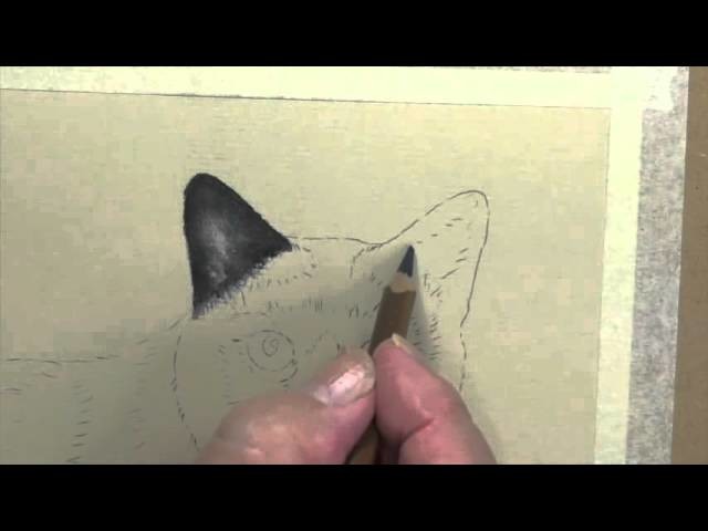 How To Draw Black Cat Ears