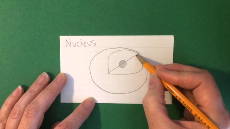 How to Draw the Nucleus