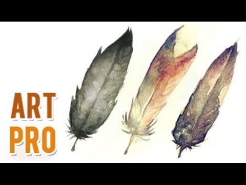How to paint feathers with watercolors  step by step