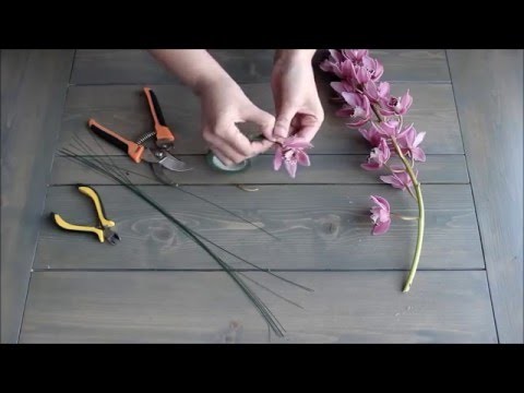 How to Wire a Cymbidium Orchid