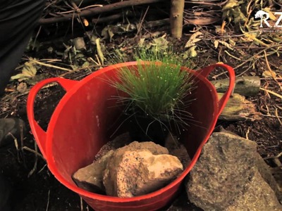 RZSS Wild about Scotland: how to make a pond in a bucket