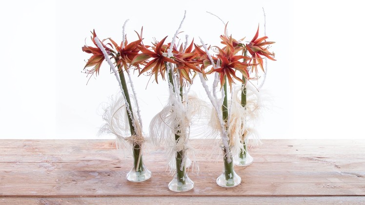 Single Amaryllis Design | Flower Factor How To | Flower Arrangement