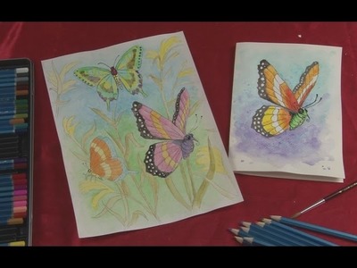 Art Lesson:  How to paint Butterflies with Watercolour pencils