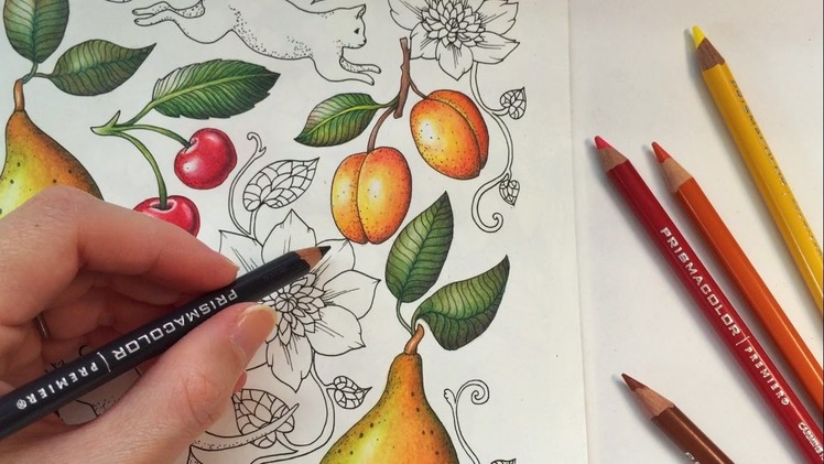 HOW I COLOR AN APRICOT | Blomstermandala Coloring Book | Coloring With Colored Pencils
