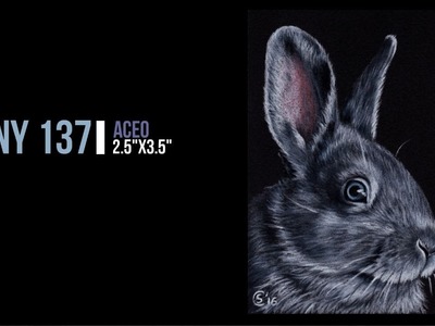 How to draw a bunny on black paper with colored pencils