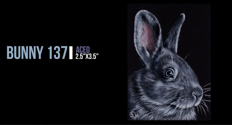 How to draw a bunny on black paper with colored pencils