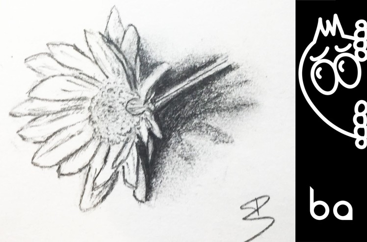 How to draw a flower with shadow | TUTORIAL