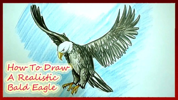 How To Draw A Realistic Bald Eagle Step by Step