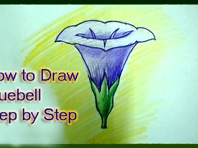How to Draw Bluebell Flower Step by Step